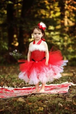 Mrs Claus Tutu Dress,Santa Baby Girl Costume,Santa Baby Tutu,Christmas Tutu Dress,Girls Mrs Claus Costume,Mrs Claus Christmas Dress,Holiday