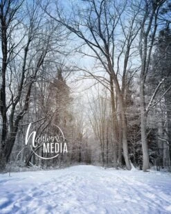 Winter Christmas Child, Adult, Family Outdoor Snow Trees Photography Digital Backdrop For Photographers In 2 Versions - Nature Portrait JPG -Jewellery Soldes Boutique il fullxfull.1075660710 gxpy