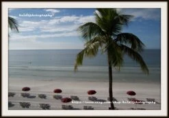 Christmas Day * Palm Tree Beach * Ft. Myers Beach * Gulf Of Mexico * Beach Scene * Calm * -Jewellery Soldes Boutique il fullxfull.1077693134 cza5