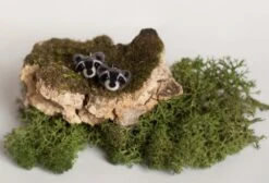 Tiny Raccoon Stud Earrings, Small Sterling Silver Animal Kids Studs, Gift For Girlfriend, Christmas Gift 12 Tiny Raccoon Stud Earrings, Small Sterling Silver Animal Kids Studs, Gift For Girlfriend, Christmas Gift -Jewellery Soldes Boutique il fullxfull.1082242274 bv6p