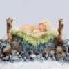 Newborn Photography Digital Backdrop Christmas Winter Wonderland Bed
