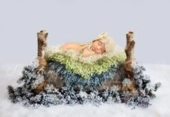 Newborn Photography Digital Backdrop Christmas Winter Wonderland Bed