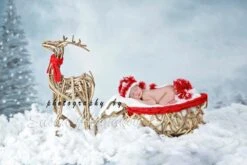 Digital Backdrop , Background Newborn Boy Or Girl Christmas Snow Fairy Tail Santa Sleigh -Jewellery Soldes Boutique il fullxfull.1085135162 h1ci