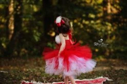 Mrs Claus Tutu Dress,Santa Baby Girl Costume,Santa Baby Tutu,Christmas Tutu Dress,Girls Mrs Claus Costume,Mrs Claus Christmas Dress,Holiday -Jewellery Soldes Boutique il fullxfull.1115064261 jzjt