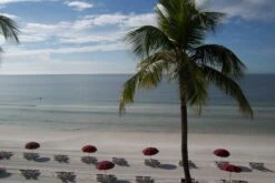 Christmas Day * Palm Tree Beach * Ft. Myers Beach * Gulf Of Mexico * Beach Scene * Calm *