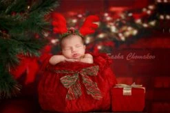 Digital Backdrop , Background Newborn Boy Or Girl Christmas Traditional