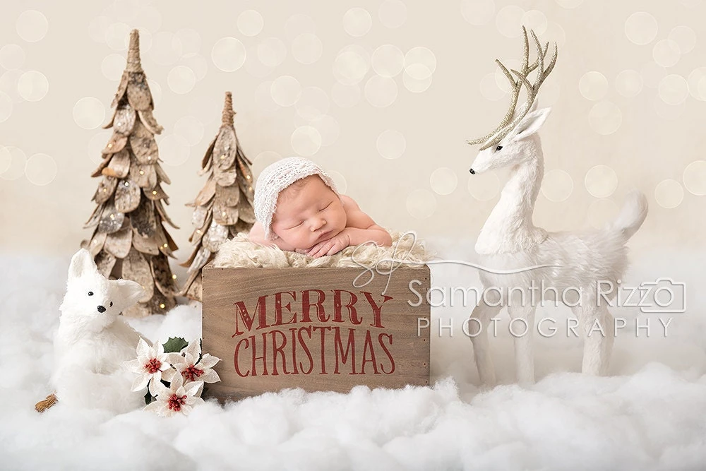 Christmas Digital Newborn Photography Background - Winter Snow Crate Christmas Backdrop (Set Of 2) 3 Christmas Digital Newborn Photography Background - Winter Snow Crate Christmas Backdrop (Set Of 2)