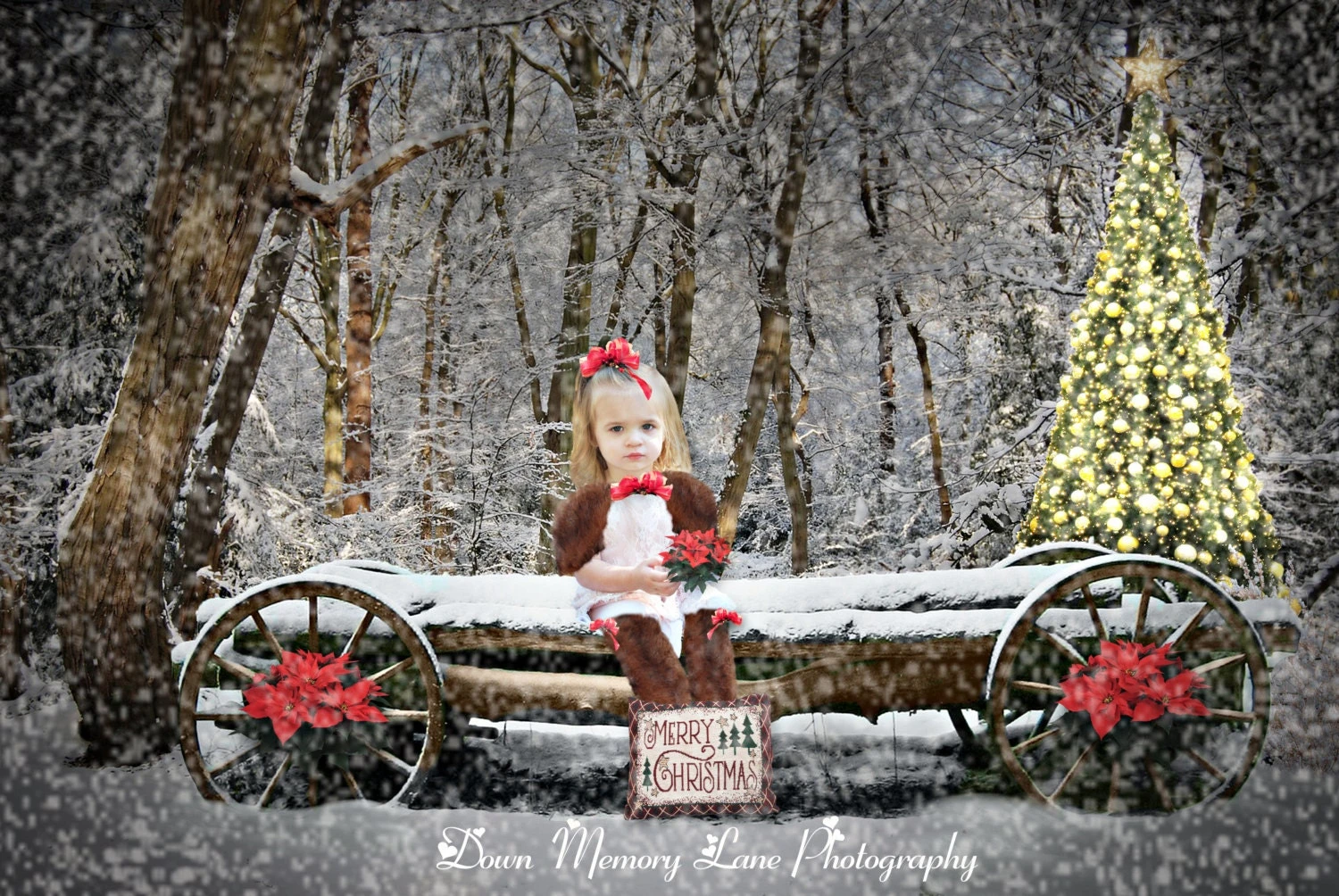 Digital Background/ Christmas Digital Background, Newborn, Baby, Family, Digital Background,Winter Backdrop, Digital Wagon Prop 4 Digital Background/ Christmas Digital Background, Newborn, Baby, Family, Digital Background,Winter Backdrop, Digital Wagon Prop - Image 2