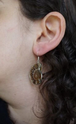 Ammonite Fossil Earring , Ammonite Earring, Sterling Silver Earring, Genuine Ammonite Fossil, Gift For Her, Christmas Gift 10 Ammonite Fossil Earring , Ammonite Earring, Sterling Silver Earring, Genuine Ammonite Fossil, Gift For Her, Christmas Gift -Jewellery Soldes Boutique il fullxfull.1223233629 6nev