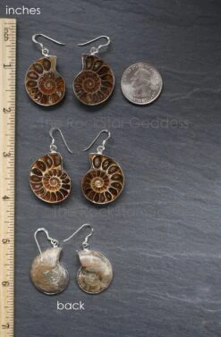 Ammonite Fossil Earring , Ammonite Earring, Sterling Silver Earring, Genuine Ammonite Fossil, Gift For Her, Christmas Gift 9 Ammonite Fossil Earring , Ammonite Earring, Sterling Silver Earring, Genuine Ammonite Fossil, Gift For Her, Christmas Gift -Jewellery Soldes Boutique il fullxfull.1223233663 to9z