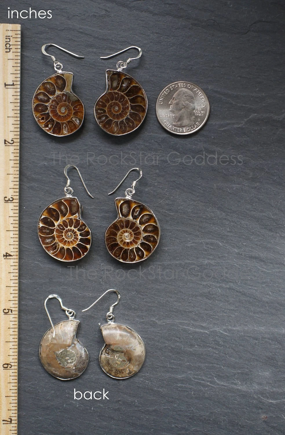 Ammonite Fossil Earring , Ammonite Earring, Sterling Silver Earring, Genuine Ammonite Fossil, Gift For Her, Christmas Gift 5 Ammonite Fossil Earring , Ammonite Earring, Sterling Silver Earring, Genuine Ammonite Fossil, Gift For Her, Christmas Gift - Image 3