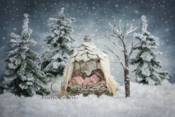 Digital Backdrop , Background Newborn Boy Or Girl Christmas Winter Snow Fairy Tail Forest