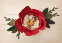 Christmas Digital Backdrop For Girl-"Christmas Flower"- Newborn Photo Prop - DIGITAL DOWNLOAD