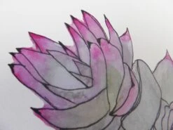 Watercolour Succulent Art Print, A Perfect Birthday Present For A Plant Lover, Ideal For Christmas, Housewarming Or Teacher Gifts -Jewellery Soldes Boutique il fullxfull.1326870847 dzan