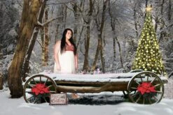 Digital Background/ Christmas Digital Background, Newborn, Baby, Family, Digital Background,Winter Backdrop, Digital Wagon Prop 7 Digital Background/ Christmas Digital Background, Newborn, Baby, Family, Digital Background,Winter Backdrop, Digital Wagon Prop -Jewellery Soldes Boutique il fullxfull.1344039021 qeo7