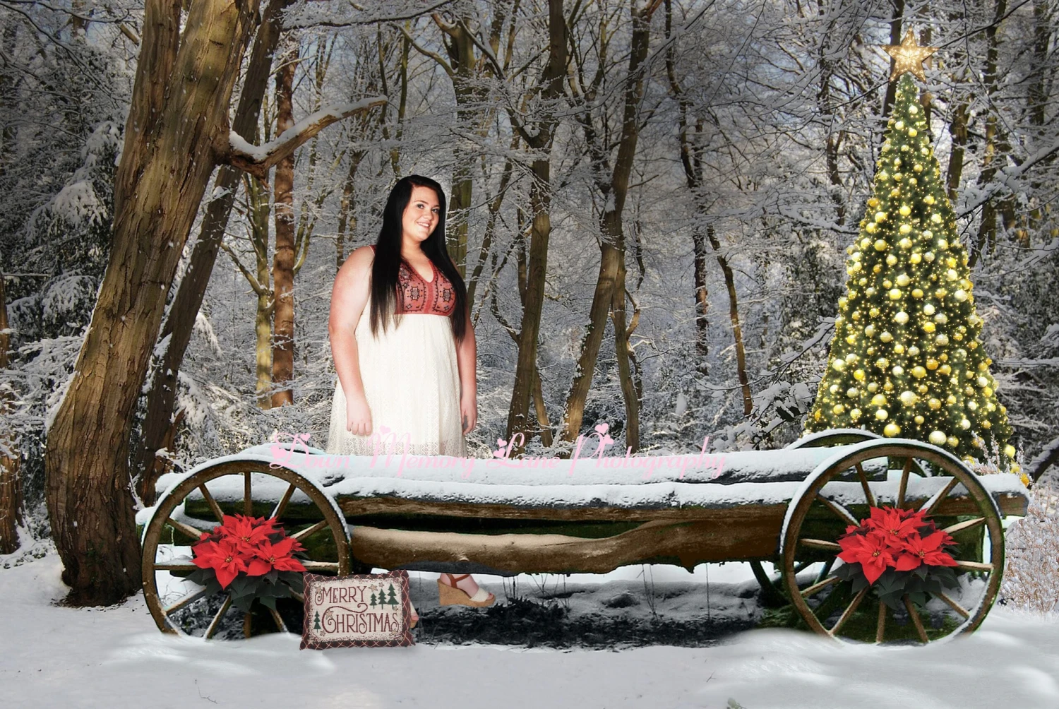 Digital Background/ Christmas Digital Background, Newborn, Baby, Family, Digital Background,Winter Backdrop, Digital Wagon Prop 5 Digital Background/ Christmas Digital Background, Newborn, Baby, Family, Digital Background,Winter Backdrop, Digital Wagon Prop - Image 3