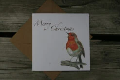 Robin Christmas Card