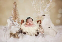 Christmas Digital Backdrop, Newborn Digital - Snowy Scene With Woodland Creatures