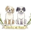 Custom Pet Portrait Christmas Gift -Jewellery Soldes Boutique il fullxfull.1693870712 czzf