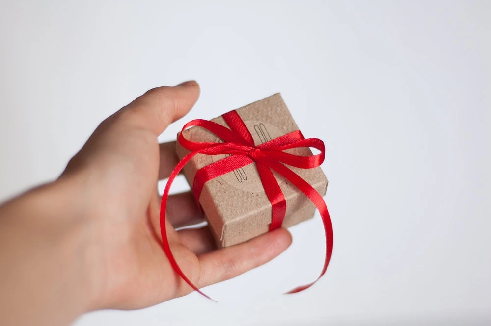 Tiny Raccoon Stud Earrings, Small Sterling Silver Animal Kids Studs, Gift For Girlfriend, Christmas Gift 9 Tiny Raccoon Stud Earrings, Small Sterling Silver Animal Kids Studs, Gift For Girlfriend, Christmas Gift - Image 7