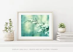 Mint Christmas Wall Art Print - Winter Photography Snow Decor Holiday Wall Decor Nature Fine Art Photograph 16 Mint Christmas Wall Art Print - Winter Photography Snow Decor Holiday Wall Decor Nature Fine Art Photograph -Jewellery Soldes Boutique il fullxfull.1951238686 hm9p