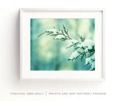 Mint Christmas Wall Art Print - Winter Photography Snow Decor Holiday Wall Decor Nature Fine Art Photograph 14 Mint Christmas Wall Art Print - Winter Photography Snow Decor Holiday Wall Decor Nature Fine Art Photograph -Jewellery Soldes Boutique il fullxfull.1951238740 koit