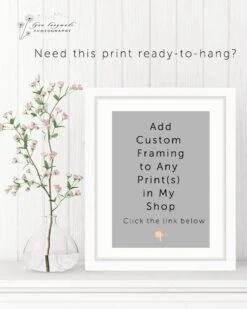 Paris Photography - Christmas Lights Paris Holiday Decorations Winter Photography Neutral Blue Gold 8x10 5x7 11x14 16x20 Art "Winter Light" 20 Paris Photography - Christmas Lights Paris Holiday Decorations Winter Photography Neutral Blue Gold 8x10 5x7 11x14 16x20 Art "Winter Light" -Jewellery Soldes Boutique il fullxfull.2038429580 mgdb