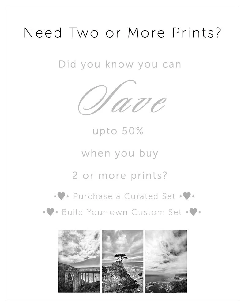 Paris Photography - Christmas Lights Paris Holiday Decorations Winter Photography Neutral Blue Gold 8x10 5x7 11x14 16x20 Art "Winter Light" 8 Paris Photography - Christmas Lights Paris Holiday Decorations Winter Photography Neutral Blue Gold 8x10 5x7 11x14 16x20 Art "Winter Light" - Image 6