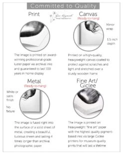 Paris Photography - Christmas Lights Paris Holiday Decorations Winter Photography Neutral Blue Gold 8x10 5x7 11x14 16x20 Art "Winter Light" 19 Paris Photography - Christmas Lights Paris Holiday Decorations Winter Photography Neutral Blue Gold 8x10 5x7 11x14 16x20 Art "Winter Light" -Jewellery Soldes Boutique il fullxfull.2038429654 sx3f