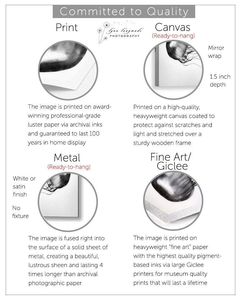 Paris Photography - Christmas Lights Paris Holiday Decorations Winter Photography Neutral Blue Gold 8x10 5x7 11x14 16x20 Art "Winter Light" 10 Paris Photography - Christmas Lights Paris Holiday Decorations Winter Photography Neutral Blue Gold 8x10 5x7 11x14 16x20 Art "Winter Light" - Image 8