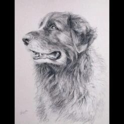 Horse Painting | Horse Portrait | Horse Gifts | Horse | Horse Art | Horse Portrait Painting | Oil Painting | Horse Memorial | Christmas 21 Horse Painting | Horse Portrait | Horse Gifts | Horse | Horse Art | Horse Portrait Painting | Oil Painting | Horse Memorial | Christmas -Jewellery Soldes Boutique il fullxfull.2046004178 ophi