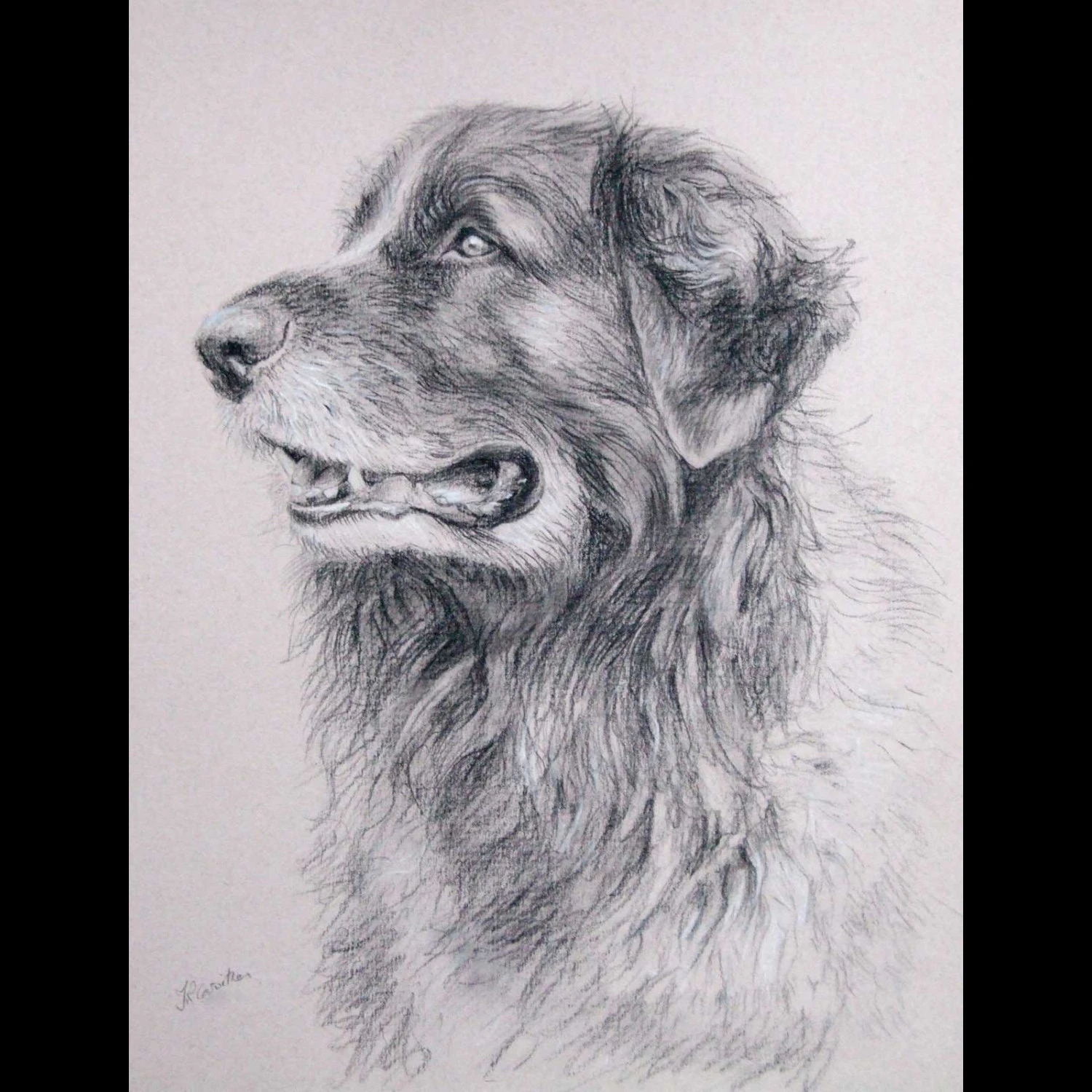 Horse Painting | Horse Portrait | Horse Gifts | Horse | Horse Art | Horse Portrait Painting | Oil Painting | Horse Memorial | Christmas 12 Horse Painting | Horse Portrait | Horse Gifts | Horse | Horse Art | Horse Portrait Painting | Oil Painting | Horse Memorial | Christmas - Image 10