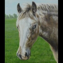 Horse Painting | Horse Portrait | Horse Gifts | Horse | Horse Art | Horse Portrait Painting | Oil Painting | Horse Memorial | Christmas 16 Horse Painting | Horse Portrait | Horse Gifts | Horse | Horse Art | Horse Portrait Painting | Oil Painting | Horse Memorial | Christmas -Jewellery Soldes Boutique il fullxfull.2046005266 5fs8