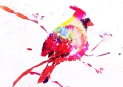 Holiday Card, Many Varieties, Christmas Cards, Christmas, Manatee, Moose, Flower, Cardinal, Snow, Habakkuk,