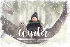 Winter Photo Overlays, Christmas Overlays, Falling Snow Photo Overlays, Snowflake Borders, Holiday Photo Overlays