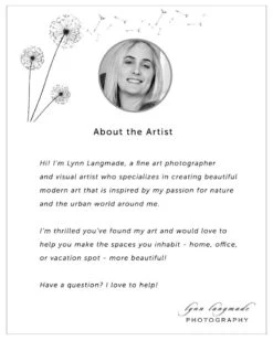 Paris Photography - Christmas Lights Paris Holiday Decorations Winter Photography Neutral Blue Gold 8x10 5x7 11x14 16x20 Art "Winter Light" 21 Paris Photography - Christmas Lights Paris Holiday Decorations Winter Photography Neutral Blue Gold 8x10 5x7 11x14 16x20 Art "Winter Light" -Jewellery Soldes Boutique il fullxfull.2086040587 hime