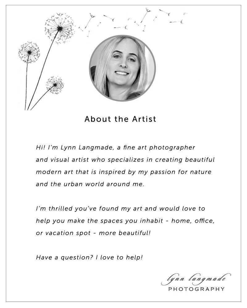 Paris Photography - Christmas Lights Paris Holiday Decorations Winter Photography Neutral Blue Gold 8x10 5x7 11x14 16x20 Art "Winter Light" 12 Paris Photography - Christmas Lights Paris Holiday Decorations Winter Photography Neutral Blue Gold 8x10 5x7 11x14 16x20 Art "Winter Light" - Image 10