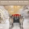Rudolph Guides The Family Sleigh Ride Digital Christmas Backdrop