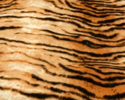 All Natural Scarf, Winter Scarf, No Cruelty Fashion, Soft Christmas Gift, Stocking Stuffer, Tiger Print Shawl, Cruelty Free Gift For Women -Jewellery Soldes Boutique il fullxfull.2638891434 rrzk