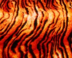 All Natural Scarf, Winter Scarf, No Cruelty Fashion, Soft Christmas Gift, Stocking Stuffer, Tiger Print Shawl, Cruelty Free Gift For Women -Jewellery Soldes Boutique il fullxfull.2638891786 bvxo