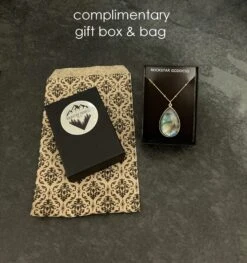 Ammonite Fossil Earring , Ammonite Earring, Sterling Silver Earring, Genuine Ammonite Fossil, Gift For Her, Christmas Gift 11 Ammonite Fossil Earring , Ammonite Earring, Sterling Silver Earring, Genuine Ammonite Fossil, Gift For Her, Christmas Gift -Jewellery Soldes Boutique il fullxfull.2703418796 fu4k