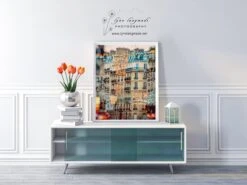 Paris Photography - Christmas Lights Paris Holiday Decorations Winter Photography Neutral Blue Gold 8x10 5x7 11x14 16x20 Art "Winter Light" 13 Paris Photography - Christmas Lights Paris Holiday Decorations Winter Photography Neutral Blue Gold 8x10 5x7 11x14 16x20 Art "Winter Light" -Jewellery Soldes Boutique il fullxfull.2719429657 jfsq