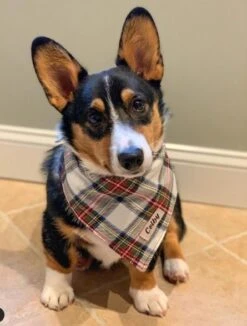 Dog Bandana • Personalized Dog Bandana • Christmas Tartan Dog Bandana • New Puppy Gift -Jewellery Soldes Boutique il fullxfull.2793838259 k48e
