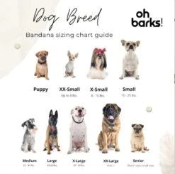 Dog Bandana • Personalized Dog Bandana • Christmas Tartan Dog Bandana • New Puppy Gift -Jewellery Soldes Boutique il fullxfull.3371409657 fcx8