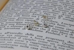 Floral Silver Stud Earrings - Handmade Simple Studs - Silver Flower Studs - Great Gift/ Valentine's/ Christmas/ New Year/ Birthday/ BFF -Jewellery Soldes Boutique il fullxfull.3469114319 bugd