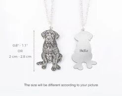 Custom Pet Portrait Necklace, Personalized Pet Photo Necklace, Pet Memorial Necklace, Picture Necklace, Personalized Gift, Christmas Gift -Jewellery Soldes Boutique il fullxfull.3523659755 hv1a
