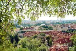Prague Photograph, Castle, Rooftop, Red, Travel, Foliage, Green, Large Wall Art, Vista, Wanderlust, Woodlands, Christmas For Home, Oversized -Jewellery Soldes Boutique il fullxfull.399401016 3cw5