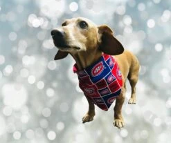 Montreal Canadiens Dog Bandana/ Montreal Canadiens/Dog Scarf/Bandana For Dog/Reversible/100% Cotton/Christmas Gift For Pets/Christmas Gift