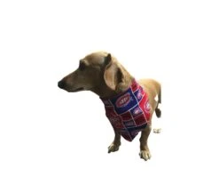 Montreal Canadiens Dog Bandana/ Montreal Canadiens/Dog Scarf/Bandana For Dog/Reversible/100% Cotton/Christmas Gift For Pets/Christmas Gift -Jewellery Soldes Boutique il fullxfull.4333079370 9lst