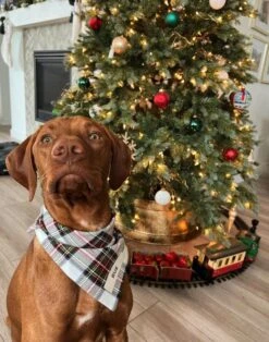 Dog Bandana • Personalized Dog Bandana • Christmas Tartan Dog Bandana • New Puppy Gift -Jewellery Soldes Boutique il fullxfull.4404126900 9725